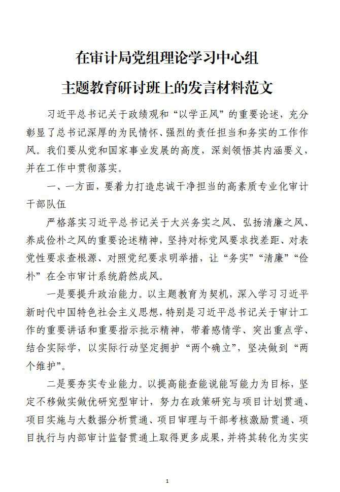 在审计局党组理论学习中心组主题教育研讨班上的发言材料范文_纵横材料网（材料狗网）