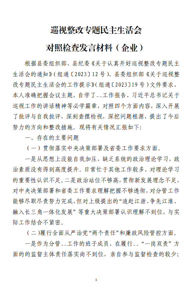 国企巡视整改专题民主生活会对照检查发言材料_纵横材料网