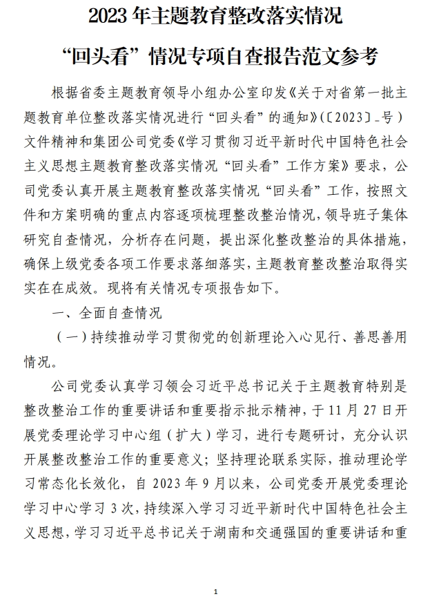 2023年主题教育整改落实情况“回头看”情况专项自查报告范文参考_纵横材料网