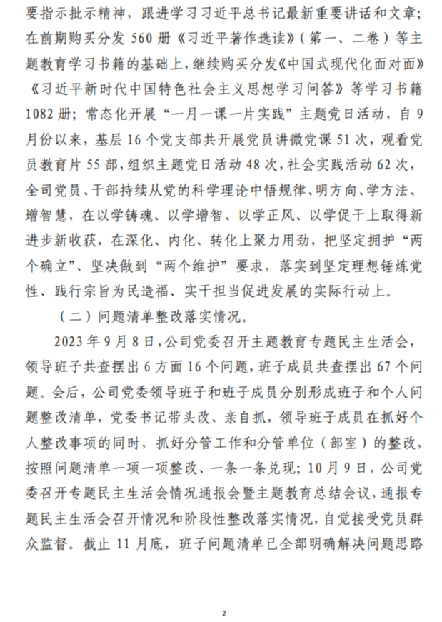 2023年主题教育整改落实情况 “回头看”情况专项自查报告范文参考